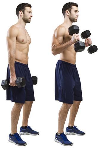 How To Do Hammer Curls